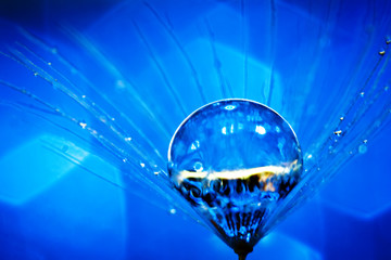Beautiful dew drops on a dandelion seed. Macro. Beautiful soft light blue and violet background. Selective focus. Background with copy space.