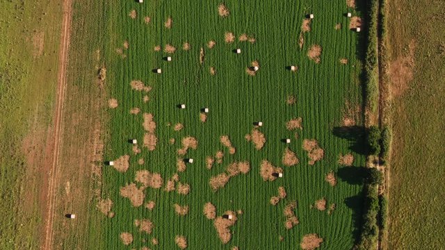Aerial View of Hay Bales in patchy green field