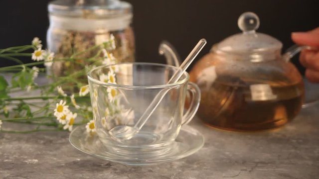 Woman's hand pouring into a glass cup herbal medical flowers camomile tea. Naturopathy. Matricaria chamomilla.