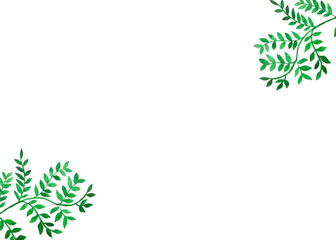 cornice foglie verdi botanica acquerello sfondo bianco