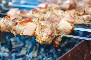 Barbecue on the grill. The concept of rest and picnic. Photo of food.