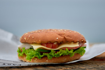 Beautiful tasty burgers in nature