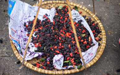 Hanoi Vietnam Berries of a street vendor