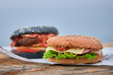 Beautiful tasty burgers in nature