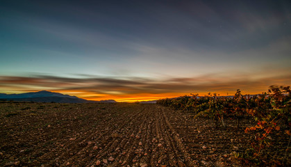 Long exposure panoramic view of a vineyard with during an autumn twilight - Image