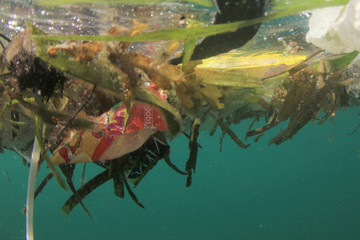 Plastic ocean. Pollution crisis as plastic bags, cups, straws and bottles end up in sea