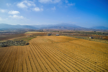 Fototapeta na wymiar Aerial view of a vineyard during a winter sunny day - Drone image