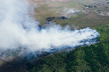 Forest fire in hot summer day, burning dry grass and trees on field, aerial view