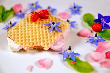 coloured sandwich ice cream and strawberries, leaves of mint decorated on a white plate with fresh blue borage flowers and fruits. waffle icecream with fruits and borago blossoms on white background.