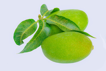 close up of green mangoes and green leaves isolated