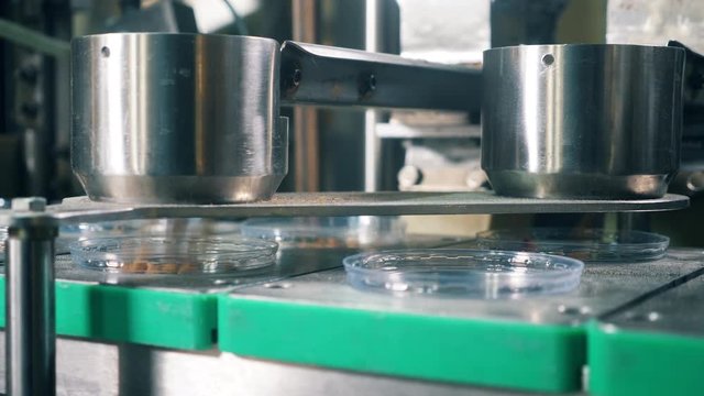 Factory equipment is filling plastic plates with bread crumbs