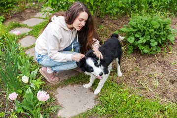 Naklejka na ściany i meble Smiling young attractive woman embracing cute puppy dog border collie in summer city park outdoor background. Girl huging new lovely member of family. Pet care and animals concept