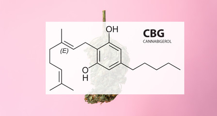 CBG element in marijuana bus for healing effect