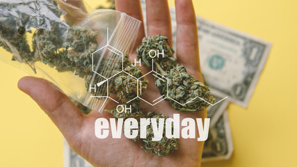daily use of recreational marijuana for patients.