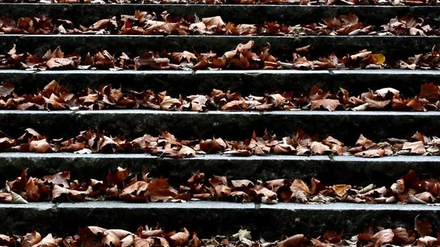 Autumnal Impressions from Viktoriapark in Berlin Kreuzberg on November 13, 2015, Germany