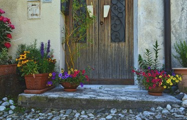 threshold of  house with the front door, decorated with many plants in pots