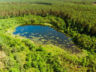 jezioro rezerwat zdręczno czersk tuchola rytel kaszuby las
