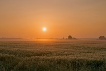 Sonnenaufgang über den Feldern von Darmstadt in Hessen, Deutschland 