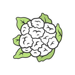 Cauliflower color icon