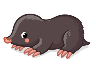 Little cute mole on white background. Vector illustration with animal