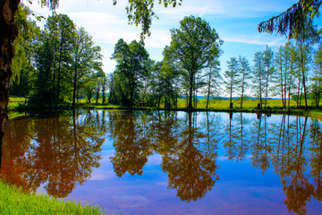 Obraz premium reflection of trees in water