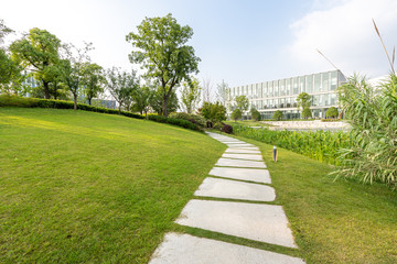 road in park