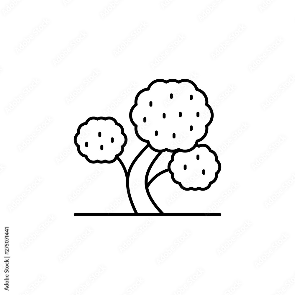 Poster tree, walnut icon. simple thin line, outline vector of trees icons for ui and ux, website or mobile 