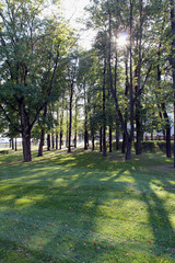 Fototapeta premium path in the park