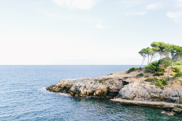 Obraz premium Küste von Mallorca - Landschaft