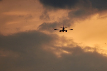 Fototapeta na wymiar Plane silhouette landing