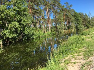 wielki kanał brdy brda rzeka brda rzeka kanał woda rytel czersk tuchola © Dariusz