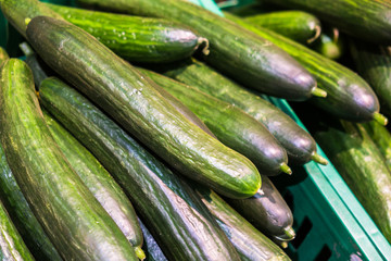 cucumbers on the counter in a supermarket