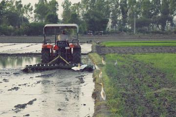 tractor in field