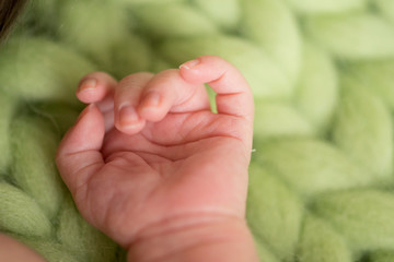 Baby hand  in newborn photography