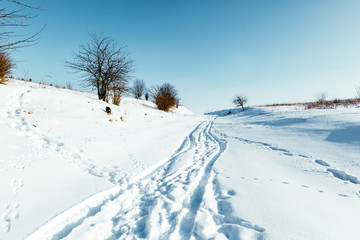 Fototapeta na wymiar Wintry landscape scenery with modified cross country skiing way