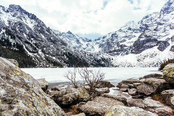 Fototapeta na wymiar Rock near the lake and mountain in summer