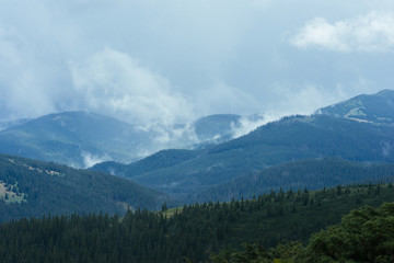 Green mountain forest landscape