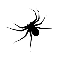 Black silhouette spider. Spider icon, Isolated. Spider logo template. Halloween symbol. Black tattoo design.
