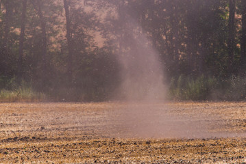 Small tornado or whirlwind with dust in a field