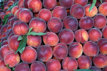 Various fruits for sale in a market in Croatia