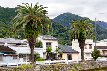 Fototapeta na wymiar Beppu city colorful mountains and old promenade