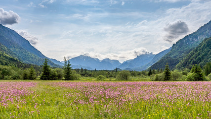 ettaler weidmoos in ammergauer alps, germany