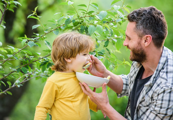 Nutrition for kids and adults. Healthy nutrition concept. Feeding baby. Menu for children. Family enjoy homemade meal. Father son eat food and have fun. Nutrition habits. Little boy and dad eating