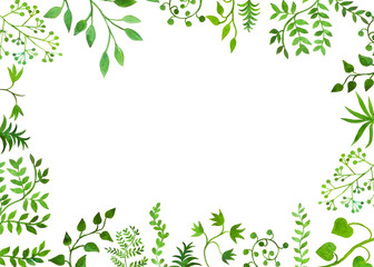 bella cornice su sfondo bianco botanica