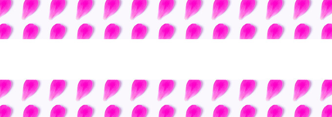 Pattern made of beautiful pink petals of peony flower on white background, banner or header. 