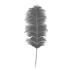 Feather on White Background. Vector Illustration.