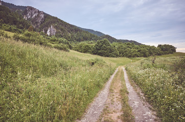 Path in Mala Fatra National Park on a cloudy day, color toning applied, Slovakia.