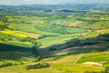 Fototapeta na wymiar Landscape near Montepulciano town in Tuscany region of Italy, Europe.