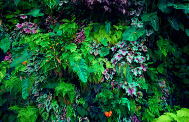 Green leaves background