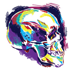 Human skull, colorful drawing, sketch. Skull, death, magic.
